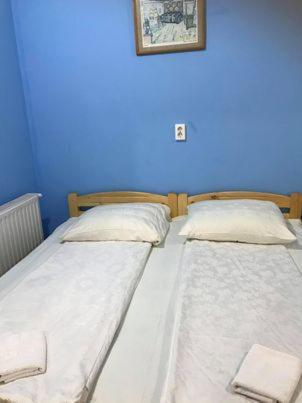 Engi Panzio Bed and Breakfast Ocna de Sus Εξωτερικό φωτογραφία
