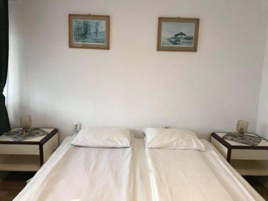 Engi Panzio Bed and Breakfast Ocna de Sus Εξωτερικό φωτογραφία