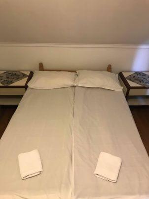 Engi Panzio Bed and Breakfast Ocna de Sus Εξωτερικό φωτογραφία