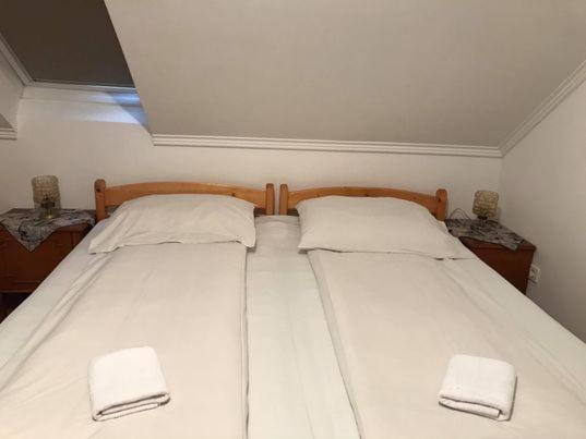 Engi Panzio Bed and Breakfast Ocna de Sus Εξωτερικό φωτογραφία