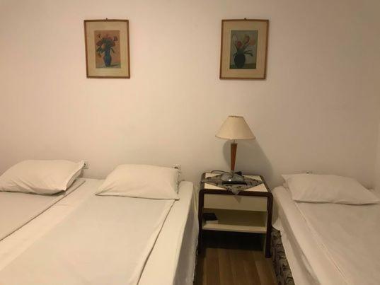 Engi Panzio Bed and Breakfast Ocna de Sus Εξωτερικό φωτογραφία